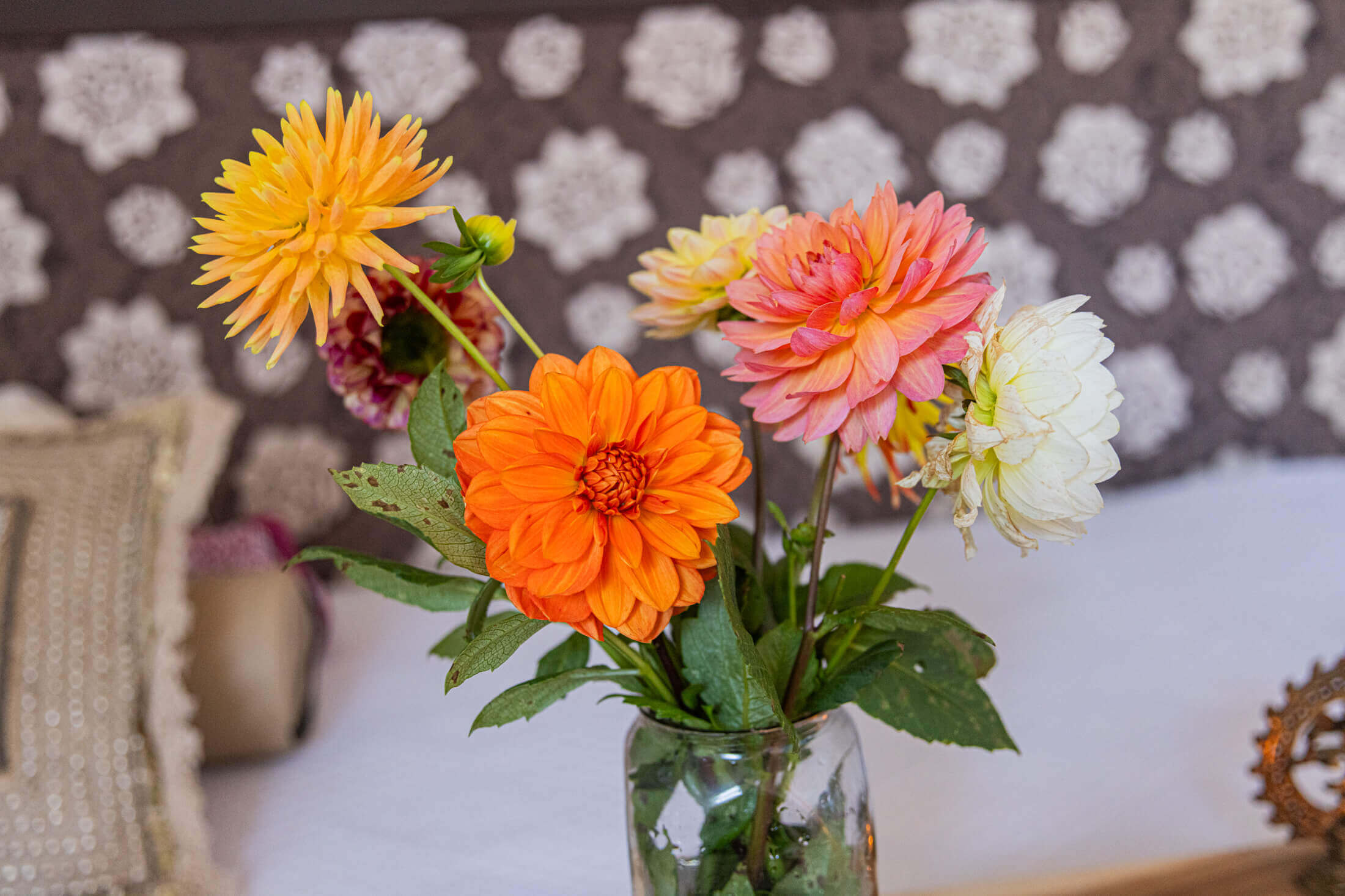 Maak een afspraak Zacht in mijn kracht Hinke Meijer Healing Touch